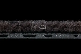 Coral Interior 1530 Midnight Shadow фото 4 | FLOORDEALER