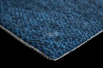 Haima Coral 23 фото 5 | FLOORDEALER