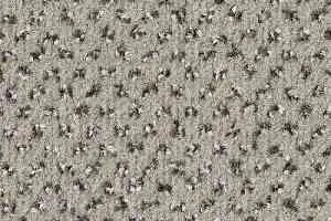 Ковролин Balsan Signature 905 фото  | FLOORDEALER