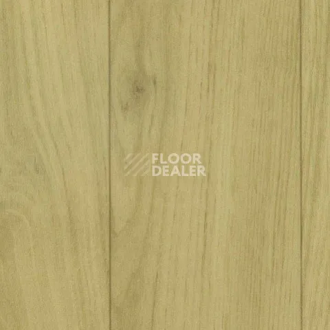 Линолеум Grabo Silver Knight Acoustic 7 2561_371_651 фото 1 | FLOORDEALER