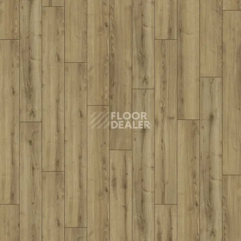 Kronotex Robusto 12мм d40782 Дуб Джалон фото 4 | FLOORDEALER