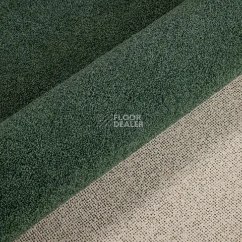 Haima Noble 71 фото 13 | FLOORDEALER