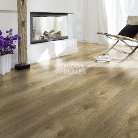 Kronotex Mammut d4794 Дуб Натуральный Макро фото 2 | FLOORDEALER