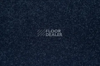 Innova Фризе 7079 фото 2 | FLOORDEALER