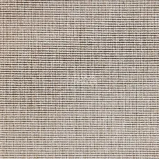 Ковролин Carpet Concept Eco 1 6651 фото 1 | FLOORDEALER