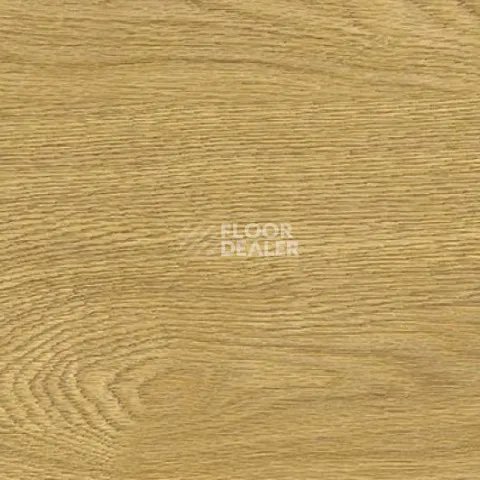 Пробковое покрытие Wood Xl Oak  Deluxe фото 1 | FLOORDEALER