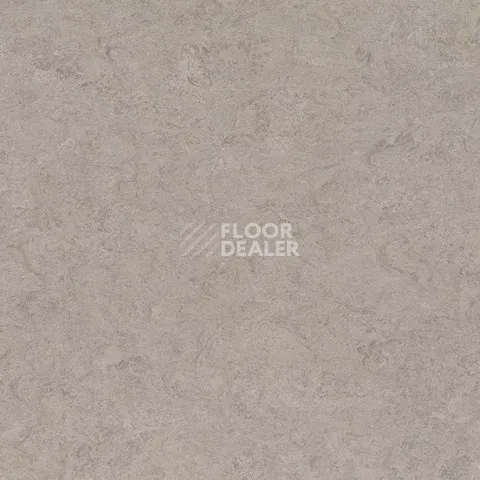Линолеум Gerflor Marmorette DLW 2.5mm 0091 Shiitake Mushroom фото 1 | FLOORDEALER