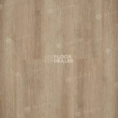 Alpine Floor Premium 10мм P1001  ДУБ КАШЕМИР фото 1 | FLOORDEALER