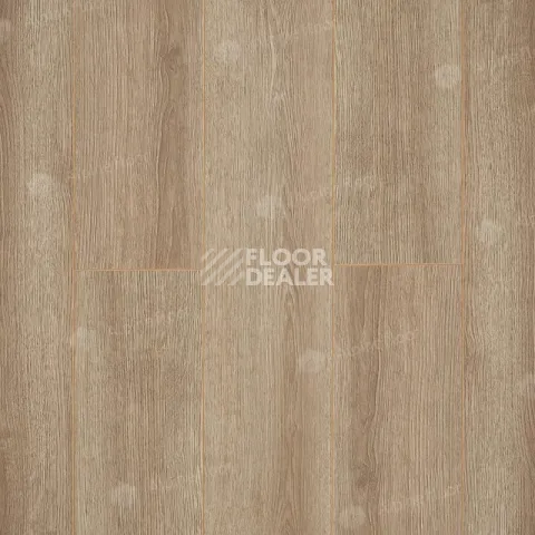 Ламинат Alpine Floor Premium 10мм P1001  ДУБ КАШЕМИР фото 1 | FLOORDEALER