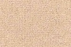 Ковролин Radici Montecarlo 51 фото  | FLOORDEALER