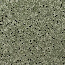 Линолеум Standard Conductive 810 Forest фото 1 | FLOORDEALER