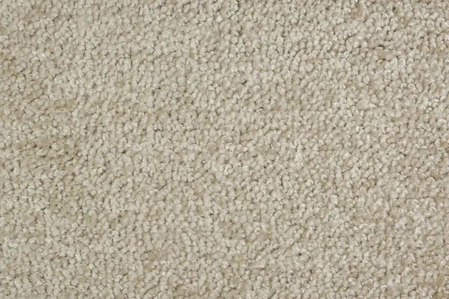 AW Omnia 33 фото 3 | FLOORDEALER