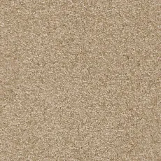 Ковролин AW Masquerade Porzia 39 фото 1 | FLOORDEALER