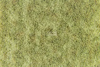 Flotex Colour Canyon 50*50 t 545027 Canyon Kelp фото 3 | FLOORDEALER