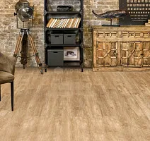 Alpine Floor Grand Sequoia (1220x183) ГРАНД СЕКВОЙЯ КАМФОРА ECO 11-5 фото 2 | FLOORDEALER