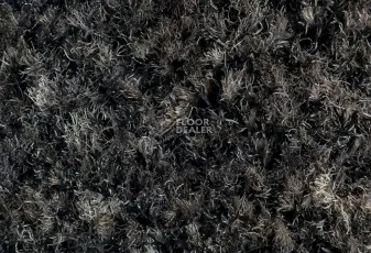 Forbo Coral Brush 5721 Hurricane Grey фото 2 | FLOORDEALER