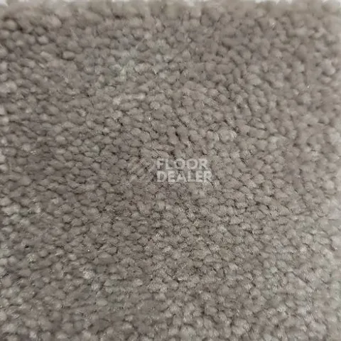 Ковролин Condor Carpets Chablis 116 фото 1 | FLOORDEALER