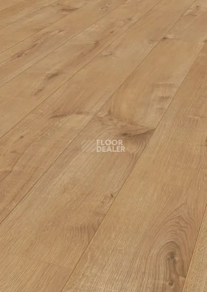 Ламинат Terhurne Classic Line 192мм 1844  Дуб Золотисто - Коричневый  1101020812 фото 1 | FLOORDEALER