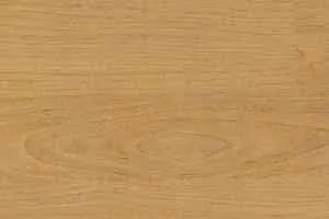 Линолеум Taraflex Multi-Use 6.2 Wood 4331_Wood_Natural фото  | FLOORDEALER
