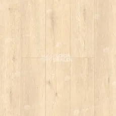 Кварцвиниловые полы Alpine Floor Grand Sequoia (1220x183) ГРАНД СЕКВОЙЯ АДЕНДРОН ECO 11-23 фото 1 | FLOORDEALER