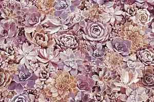 Ковролин Halbmond Pure Elements 13841 фото  | FLOORDEALER