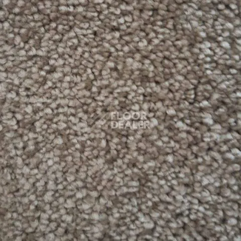 Ковролин Condor Carpets Dynasty 72 фото 1 | FLOORDEALER