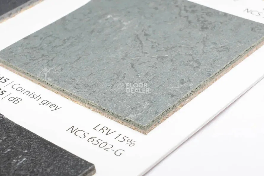 Forbo Marmoleum Solid Slate e3745-e374535 Cornish grey фото 2 | FLOORDEALER