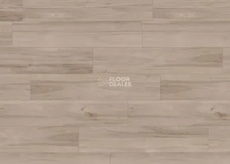 Terhurne Trend Line 243мм 1909 Вяз Кафе-бар 1101020894 фото 3 | FLOORDEALER