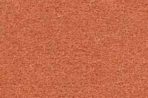 Ковролин Radici Montecarlo 57 фото  | FLOORDEALER