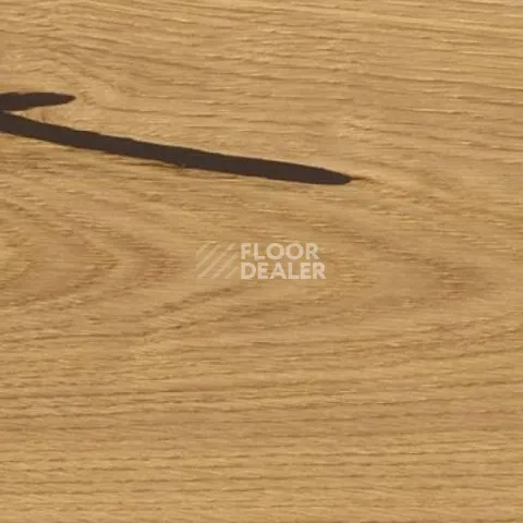 Пробковое покрытие Wood Xl Oak  Accent фото 1 | FLOORDEALER