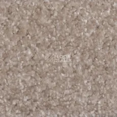 Ковролин AW Masquerade Certosa 35 фото 1 | FLOORDEALER