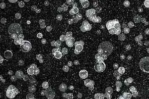 Ковролин Forbo Flotex Vision Pattern 001590 Starwalk Black фото  | FLOORDEALER