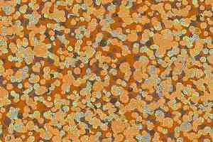Ковровая плитка Halbmond Tiles & More 4 tm 4-047-05 фото  | FLOORDEALER