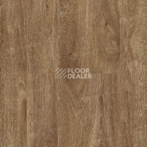 Ламинат Alpine Floor Albero 10мм A1005 ДУБ ШЕРВУД фото 1 | FLOORDEALER