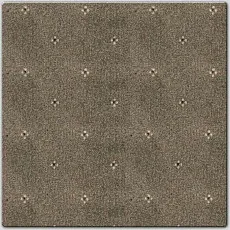 Ковролин AW Animo AW Animo 49 фото 1 | FLOORDEALER