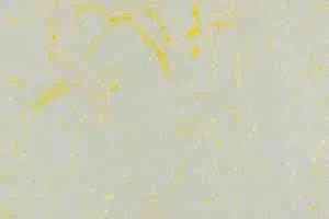 Линолеум Forbo Marmoleum Solid Concrete 3733-373335 yellow shimmer фото  | FLOORDEALER