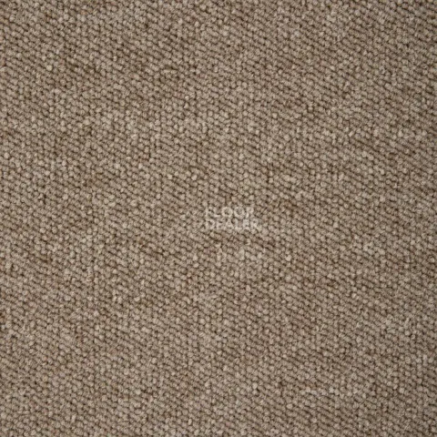 Ковролин Condor Sparkle 71 фото 1 | FLOORDEALER