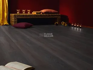 Kronotex Exquisit 8мм d2804 Дуб Стирлинг фото 4 | FLOORDEALER