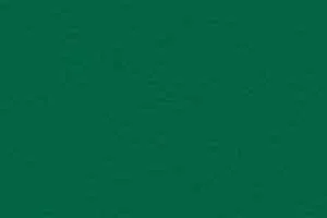 Линолеум Gerflor Taraflex evolution Uni 6557_Forest фото  | FLOORDEALER