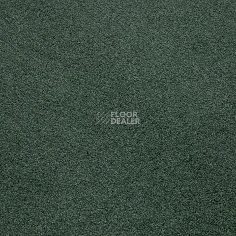 Haima Noble 71 фото 11 | FLOORDEALER