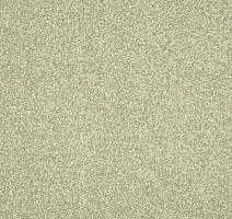 Ковролин AW Masquerade Isotta 23 фото 1 | FLOORDEALER