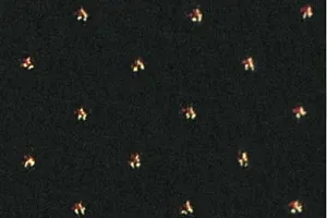 Ковролин Ковротекс София 0006 фото  | FLOORDEALER