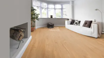 Kronotex Robusto 12мм d4720 Кастанеа фото 9 | FLOORDEALER