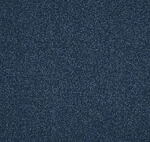 Ковролин AW Miracle 74 фото 1 | FLOORDEALER