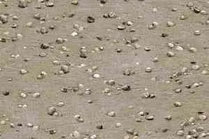 Ковролин Halbmond Pure Elements 13850 фото  | FLOORDEALER