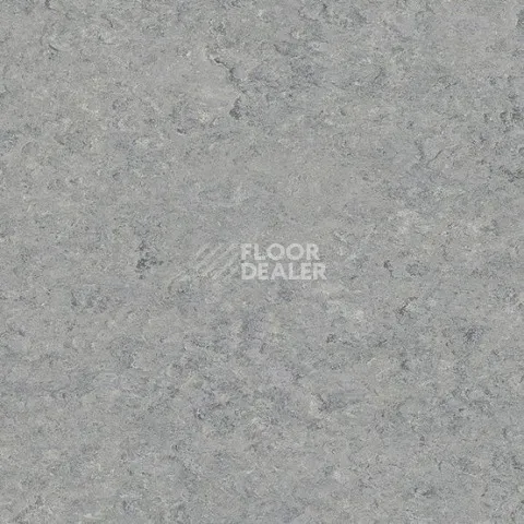 Линолеум Gerflor Marmorette DLW 2.5mm 0053 Ice Grey фото 1 | FLOORDEALER
