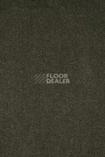 Ковролин AW Masquerade Moretta 29 фото 1 | FLOORDEALER