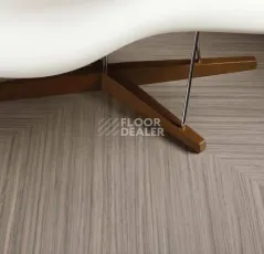 Forbo Marmoleum Modular t3573 trace of nature фото 3 | FLOORDEALER