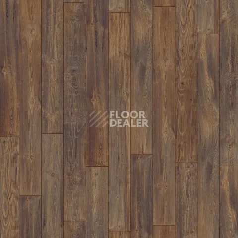 Kronotex Mammut d80012 Горная Сосна Натуральная фото 2 | FLOORDEALER
