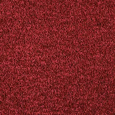 Ковролин AW Kiama 11 фото 1 | FLOORDEALER